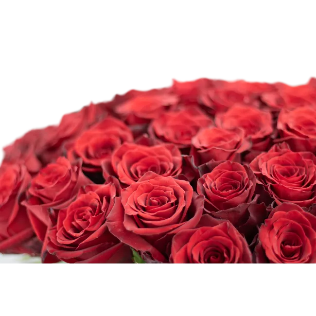 Kytice ekvádorských růží 80 cm